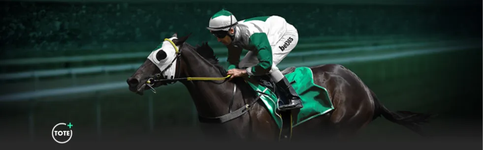 拜仁有望问,鼎德甲,欧冠之路光,BellBet,BB贝博艾弗森,BB贝博艾弗森体育入口,BB贝博艾弗森官网,BB贝博艾弗森体育APP下载