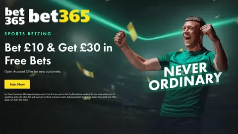 BB贝博艾弗森体育