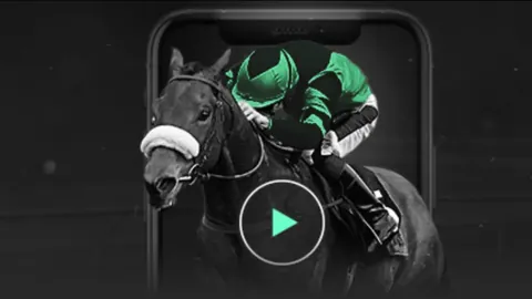 BB贝博艾弗森体育