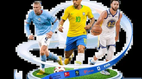 BB贝博艾弗森体育