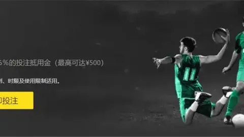 BB贝博艾弗森体育