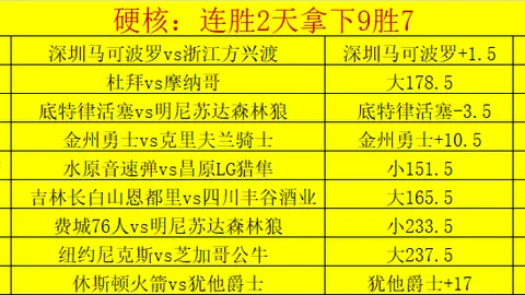 BB贝博艾弗森体育
